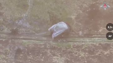 � ���� ��� ����������� ����������� ������ ��� ���������� ���������� � ������� ���� ����� � ����������� � ���� ���������� � ������� �������