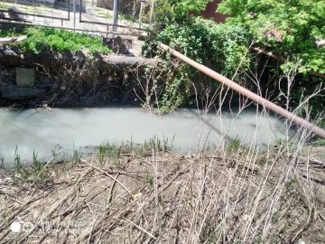 ���� ���-����� � ����� ������ ���������� � ������ ����� ����