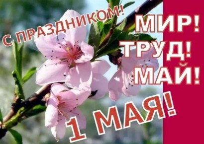 ������� �������! ���������� ��� � 1 ��� � ���� ����� � �����!
