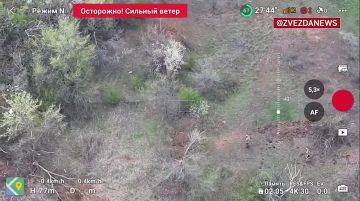 ������ �� ���������� � ����������� ������� ������ ������� � ��������� ���� ������� ���������� ��������