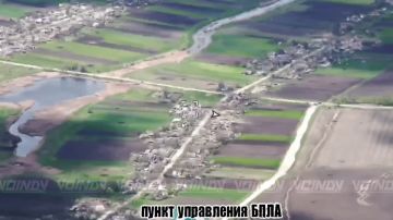����������� ������� ���������� ���� � ����� ���� ���������� ��������� 305 ����������� �������������� ������� 5 ����� ����������� ����� "������" �� ����������� �����������