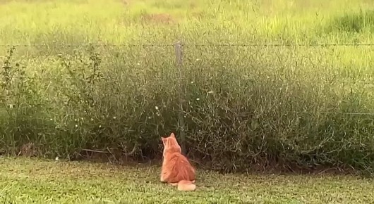 ������������ �����. ���������� ����� ��������� �� �������
