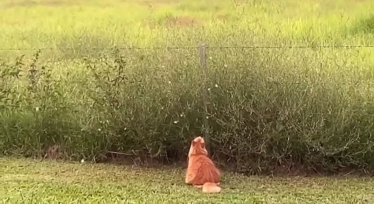 ������������ �����. ���������� ����� ��������� �� �������