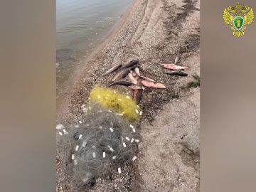 �� ���������� ����� ��������� �������������