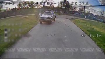 ����������� ��������� ����� ������ ��� �� ������� ����������� ���� 14 ����������� ������� �������� ����������� ����� "������" �� �����������