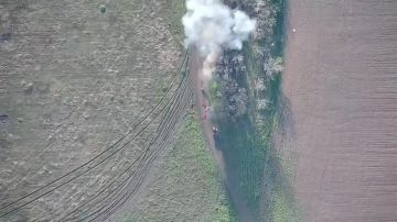 ������ ��� ������� �� ����������� ��� ���������� ���������� FPV-����� �� ��