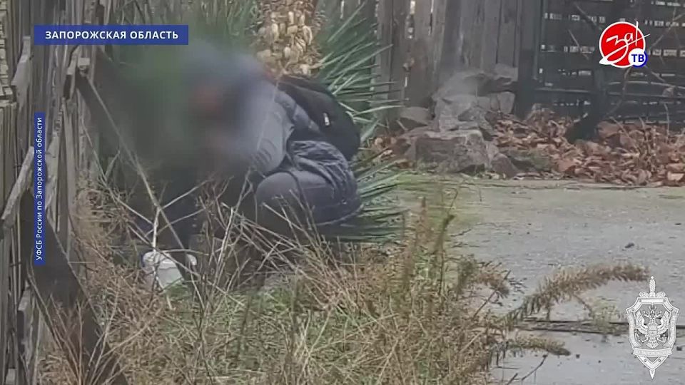 В Запорожской области пресечена деятельность преступной группы, действовавшей в интересах украинских спецслужб