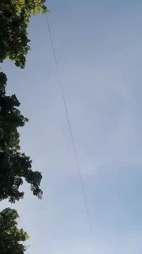 ���������. ������� ������ � ������