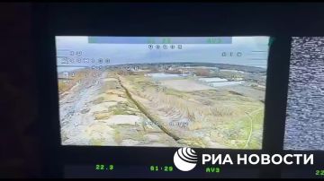 ������� ������ ������ ���� ���������� ����������� � ����������� �������
