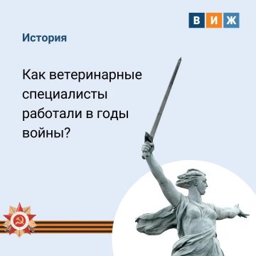 �������� �����: ��� ������������ ������ ������� ���������� ������