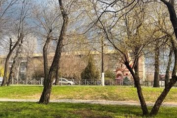 � ����������� ������� 10 ��� ��������� �� 25 �������� �����