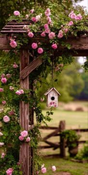 Ҹ����� ����!