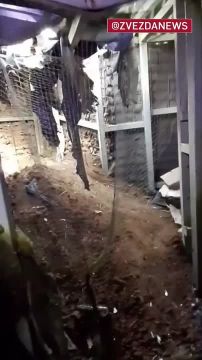 ���� ����� ������ ��� �� ���������� �� ��������� ���� �� ���������������� �����������