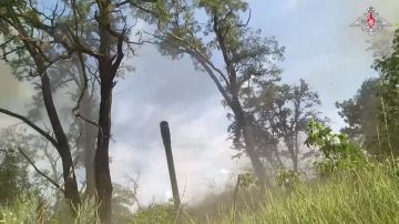 ���������� ������: ������� ��� ��������-ѻ ���������� ������ ���������� ���� ����������