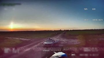 ��������� �������� ���������� ����������� ��������� ����� ��� �� ����������� ����������� ���� 14 ����������� ������� �������� ����������� ����� "������" �� ����������� �����������
