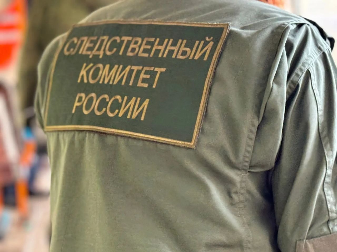 Следком проведет процессуальную проверку по факту нападения безнадзорной собаки на ребенка в Каменско-Днепровском округе
