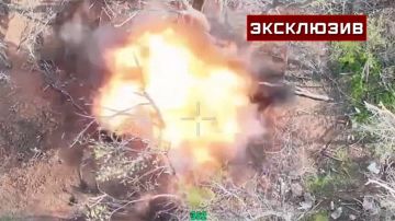 FPV-����� ���������� ���� ����������� �� ����������� �����������