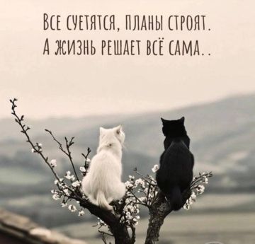 ������ ����, ������!. ������ ���������� ����� ������ ���� ����� �������