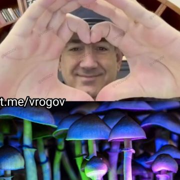�������� �����: ������� ������ ����� ��������������� ������
