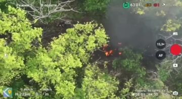 Оператор FPV-дрона ВС РФ поражает живую силу противника где-то в зоне СВО