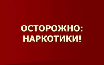 ����������. ���������: ��������� � ��� ������