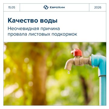 �������� ���� ��� �������� ���������: ��� ����� ����� ������� ��������