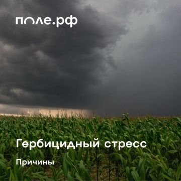 ����������� ������ � ���� �� ����� ���������������� ��������, ��������� �������� � ���������� ������