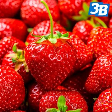 В Минздраве назвали продукты, которые помогают организму обновляться