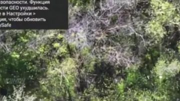 ������ ���������� ���� 29 ����� ����������� ����� "������" �� ����������� ������-�������������� ���������� �� ����������� �����������