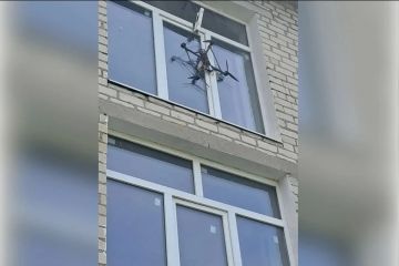��������: ���� ��� ��������� ������� �� ����� � ����������