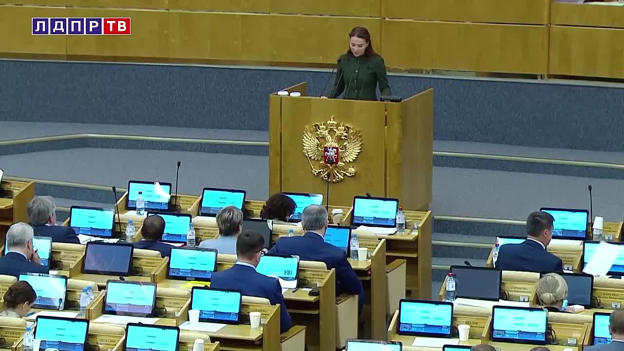 ЛДПР: Государство должно стать гарантом для детей!