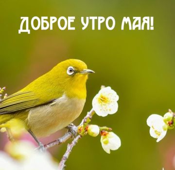 � ������ ����� ������������