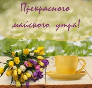 С Добрым утром Днепрорудное