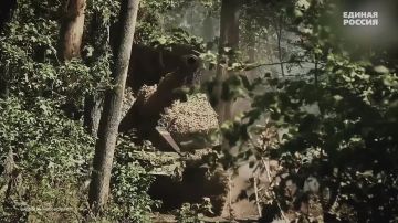 ������, �������� � ����: ������ ����� ������ ������� ��������