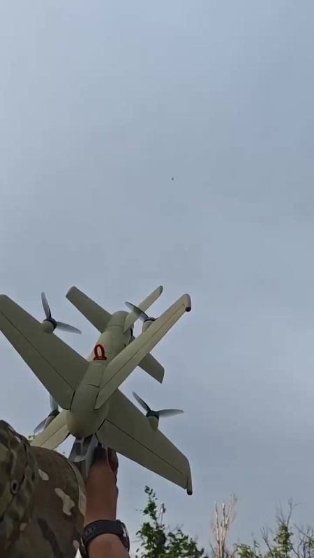 Дрон-ПВО "Елка" выполняет кинетический перехват ударного БПЛА "Hornet" ВСУ