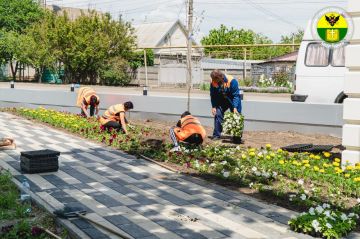 В парке «Участников СВО» прошли работы по озеленению