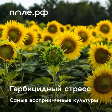 �� ������ � ����� ���� ������������ ������� � �������������� �� ������ ����� ������������