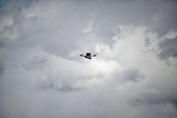 ��� ����������� �� ���� ������������� ����� 10 ���������� �������������