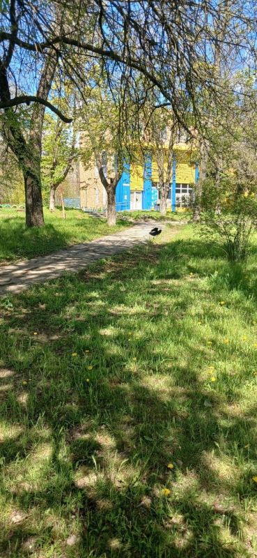 Доброе утро! Пусть оно начнётся с хорошей новости и бодрого настроения, с тёплой улыбки и вкусного завтрака, с великой цели и абсолютной уверенности в своём успехе