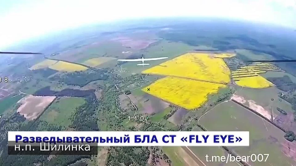 ЭКСКЛЮЗИВ: «Анвар» глушит и жжёт укропские дроны — бандеровские игрушки не долетают даже до линии боевого соприкосновения!