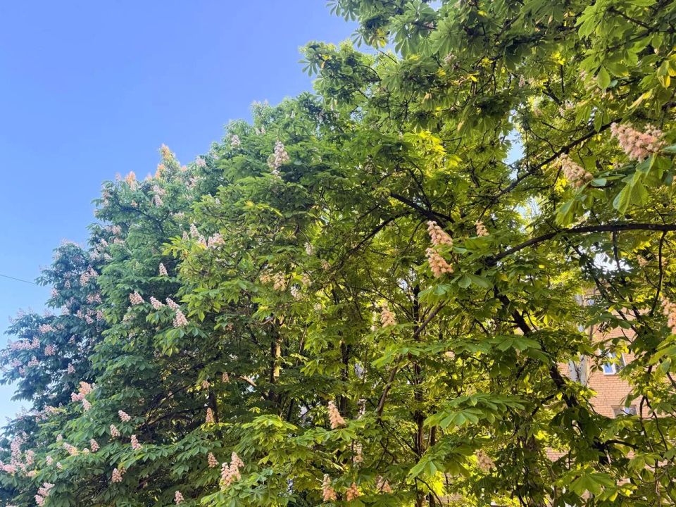 Доброе утро четверга
