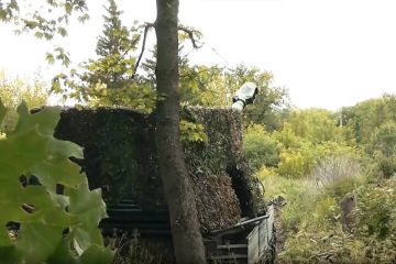 В запорожской лесополосе уничтожили артогнем опорный пункт ВСУ
