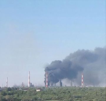 Олег Царёв: Силы ПВО ночью уничтожили 121 украинский БПЛА над 9 субъектами РФ:
