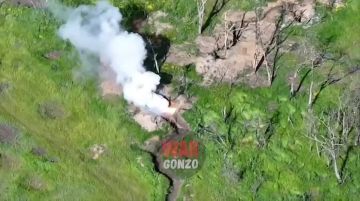 WarGonzo: ��������� ������ ������ ���� ���� �������� ���
