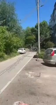 � ��������� ��� ������� ����������� ������ ������� ��������� ��� � ������ ������� �������