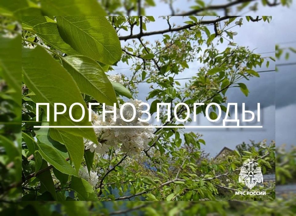 С 23 на 24 мая на территории Запорожской области ожидается: