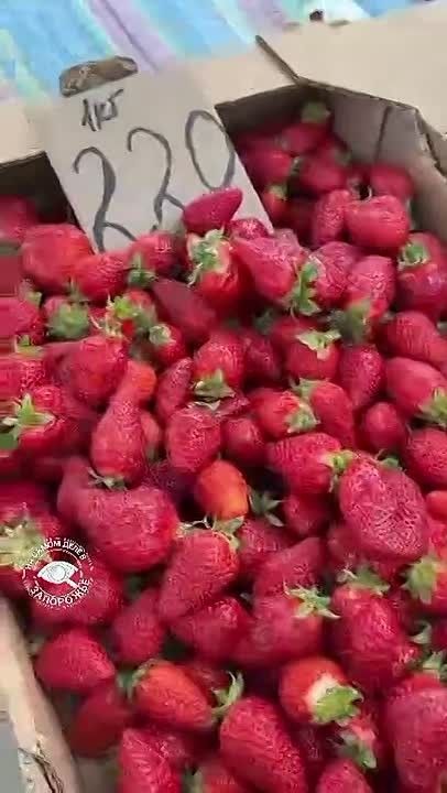 Не сезон наверное. Клубника в Запорожье в конце мая в среднем 180-220 гривен за килограмм