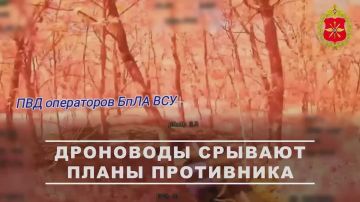 00:00 Операторы БПЛА 11-го армейского корпуса группировки «Север» уничтожили пункты управления беспилотниками и антенны связи ВСУ в Харьковской области