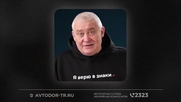 Что делать, если увидели животных на дороге?