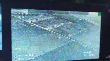 Уникальные кадры воздушного боя в Запорожской области передает военкор ANNA News Мария Коледа